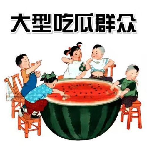 娱乐吃瓜自我介绍大全  第3张